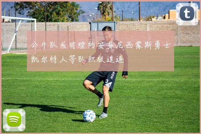 公牛队或将续约安芬尼西蒙斯勇士凯尔特人等队积极追逐