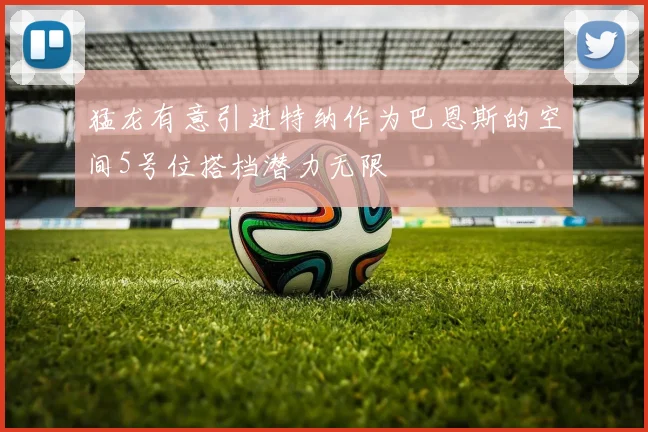 猛龙有意引进特纳作为巴恩斯的空间5号位搭档潜力无限